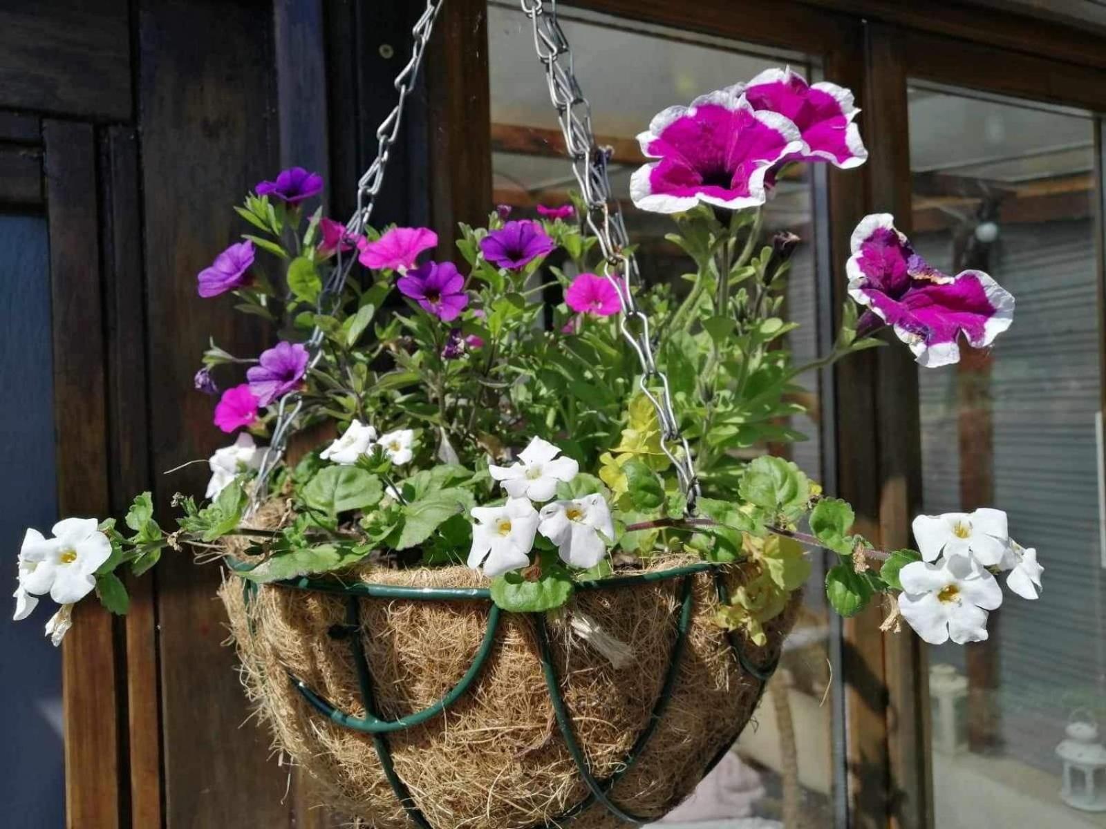 Normand Holiday Home - Vire Calvados Relaxing Rural Retreat Le Reculey Bagian luar foto